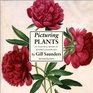 Picturing Plants An Analytical History of Botanical Illustration Second Edition