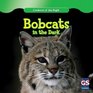 Bobcats in the Dark