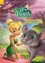 Disney Fairies Graphic Novel 11 Tinker Bell and the Most Precious Gift