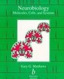 Neurobiology Molecules Cells and Systems