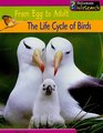 The Life Cycle of Birds From Egg to Adult