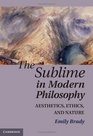 The Sublime in Modern Philosophy Aesthetics Ethics and Nature