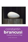 CONSTANTIN BRANCUSI SCULPTING THE ESSENCE OF THINGS