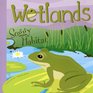 Wetlands Soggy Habitat