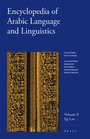 Encyclopedia of Arabic Language and Linguistics Volume 2