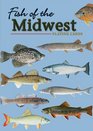 Fish of the Midwest Playing Cards
