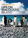 A Hostile Beauty Life on Macquarie Island