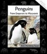 Penguins From Emperors to Macaronis