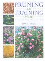 Pruning and Training Plants A Complete Guide