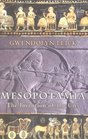 Mesopotamia The Invention of the City