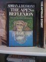 The ape's reflexion