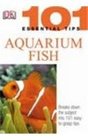 Aquarium Fish (101 Essential Tips)
