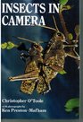 Insects in Camera