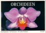 Orchideen Orchidees 30 farbige Postkarten