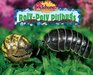 RolyPoly Pillbugs