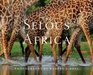 The Selous in Africa