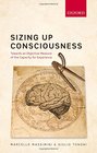 Sizing Up Consciousness Towards an Objective Measure of the Capacity for Experience