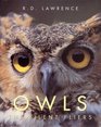 Silent Flyer Owls