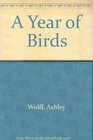 A Year of Birds