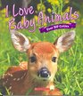 I Love Baby Animals: Over 50 Cuties