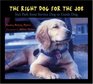 Right Dog for the Job  Ira's Path from Service Dog to Guide Dog