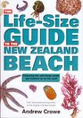 Lifesize Guide to the New Zealand Beach The