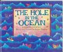 THE HOLE IN THE OCEAN