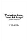 Wanderings Among South Sea Savages