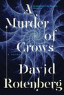 A Murder of Crows (Junction Chronicles, #2)