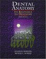 Dental Anatomy Its Relevance to Dentistry