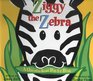 Ziggy the Zebra A OneOfAKind PopUp Book