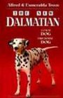 The New Dalmatian Coach Dog  Firehouse Dog