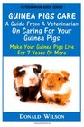 Guinea Pigs Care  A Guide From A Veterinarian On Caring For Your Guinea Pigs Make Your Guinea Pigs Live For 7 Years Or More