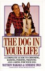 The Dog in Your Life
