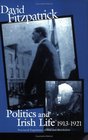 Politics and Irish Life 19131921 Provincial Experiences of War and Revolution