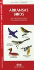 Arkansas Birds An Introduction to Familiar Species