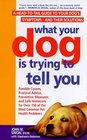 What Your Dog Is Trying to Tell You A HeadToTail Guide Dog's SymptomsAnd Their Solutions