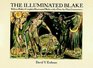 The Illuminated Blake  William Blake's Complete Illuminated Works with a PlatebyPlate Commentary