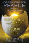 Exploring the Crack in the Cosmic Egg Split Minds and MetaRealities