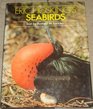Eric Hosking's Sea Birds