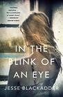 In the Blink of an Eye A Novel