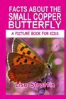 Facts About the Small Copper Butterfly (A Picture Book For Kids)