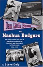 Dem Little Bums The Nashua Dodgers