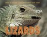 Sneed B Collard III's Most Fun Book Ever About Lizards