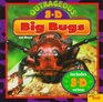 Outrageous 3D Big Bugs