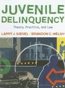 Juvenile Delinquency Theory Practice and Law