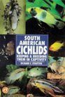 South America Cichlids Keeping  Breeding Them in Captivity