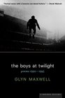 The Boys at Twilight  Poems 1990  1995