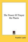 The Power Of Prayer On Plants