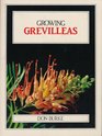 Growing Grevilleas